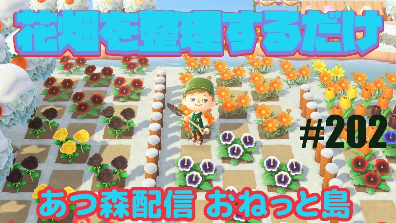 あつまれどうぶつの森 おねっと島の生活 その２０２ 花畑を整理するだけ  --- Animal Crossing:New Horizons