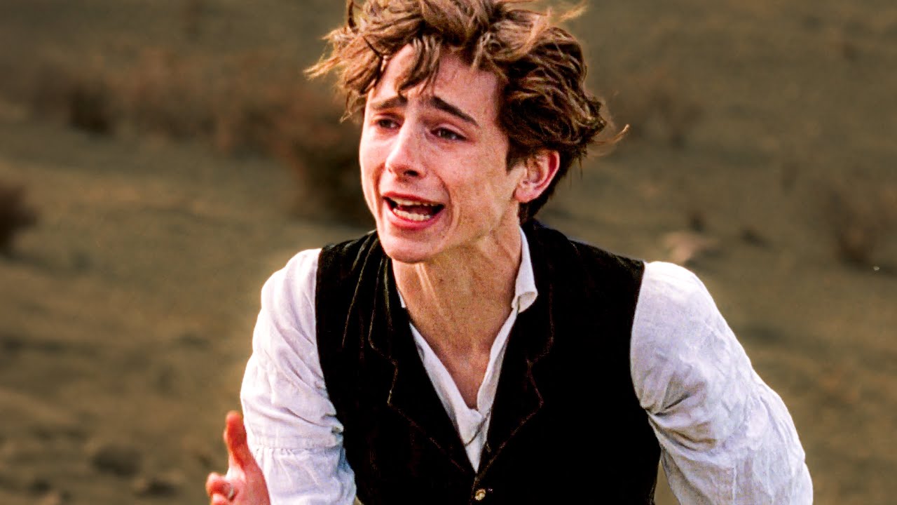 Laurie's EMOTIONAL Proposal To Jo | Little Women (Timothée Chalamet, Florence Pugh)