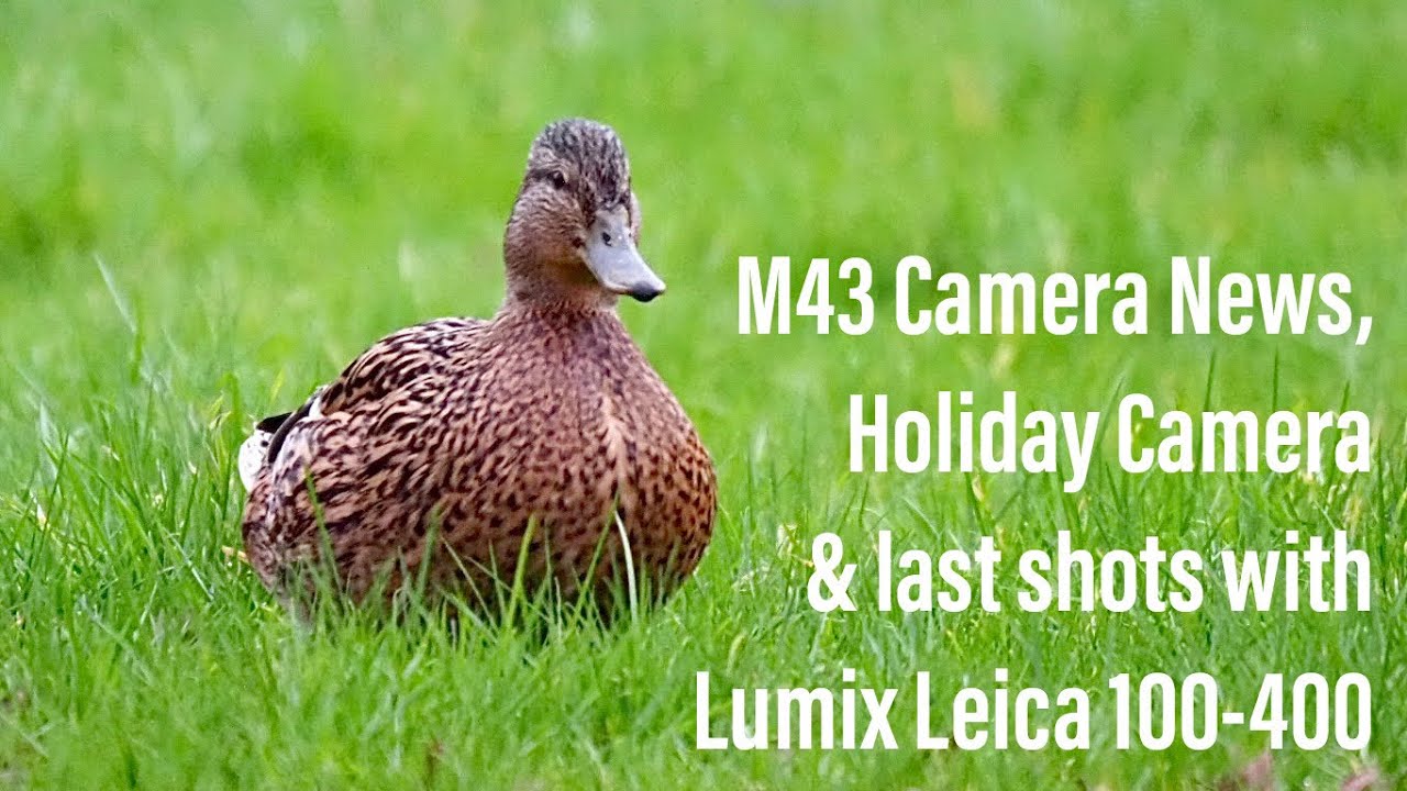 M43 Camera News, My Holiday Camera 2023 and Lumix 100-400 shots