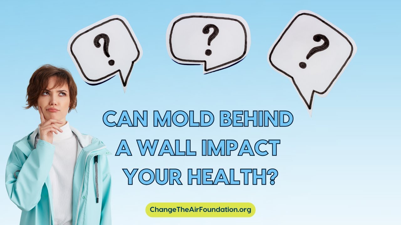 Может ли плесень за стеной повлиять на ваше здоровье?