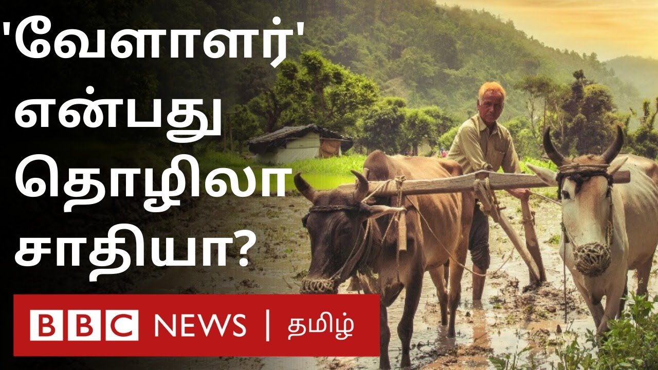 வேளாளர் என்பவர்கள் உண்மையில் யார்?- சாதி அடையாளத்தால் சர்ச்சை | Agriculture |