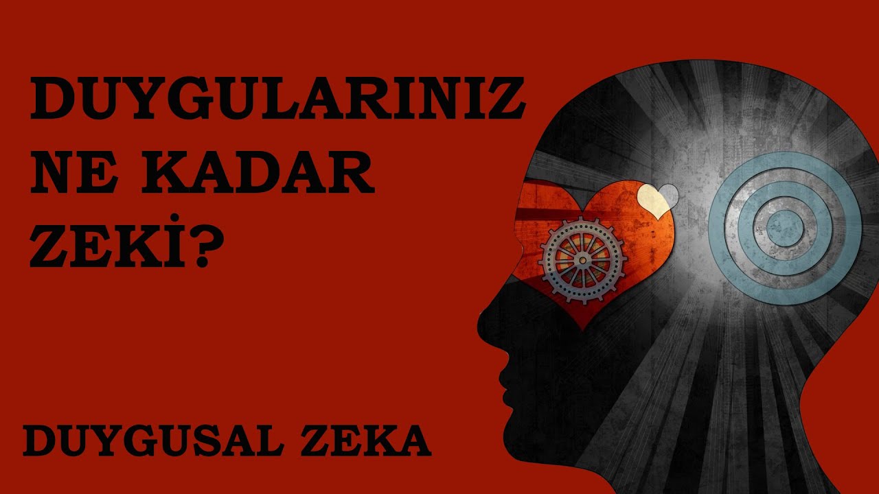 Duygularınız Ne Kadar Zeki? Duygusal Zeka