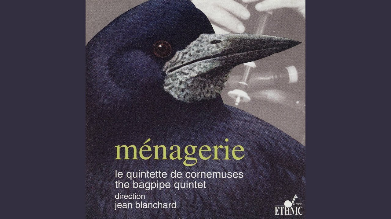 Cuirs et soies