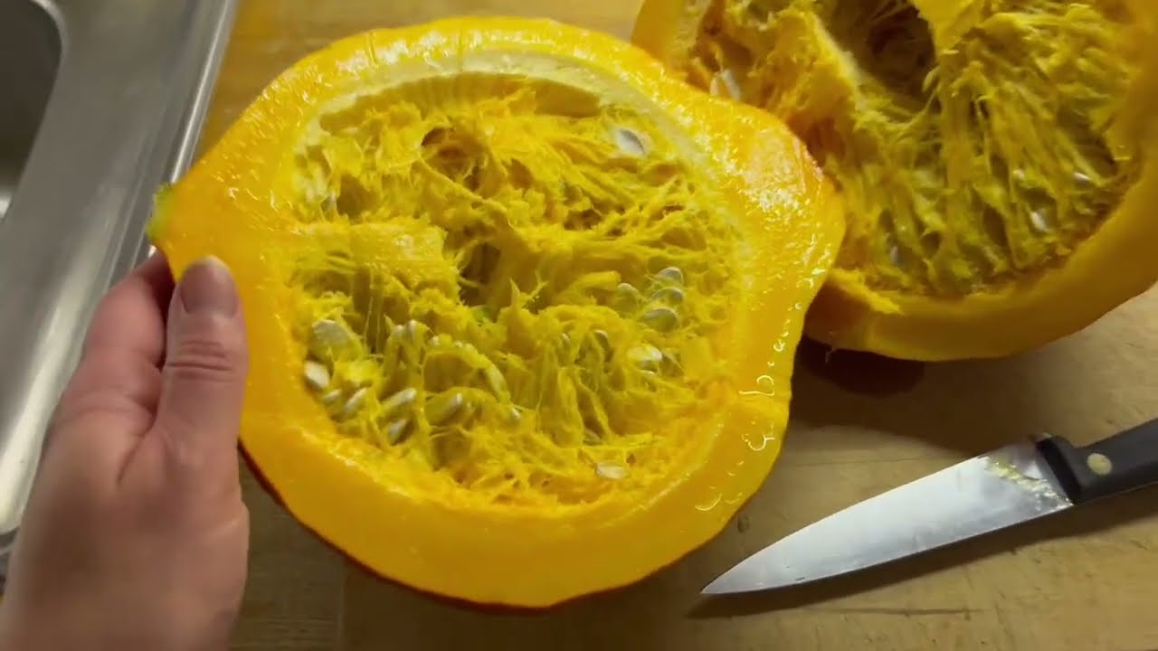 Boston Marrow: A Look Inside