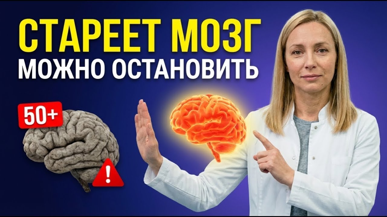 Мозг после 50 5 способов остановить старение и потерю памяти Почему вы забываете имена и слова