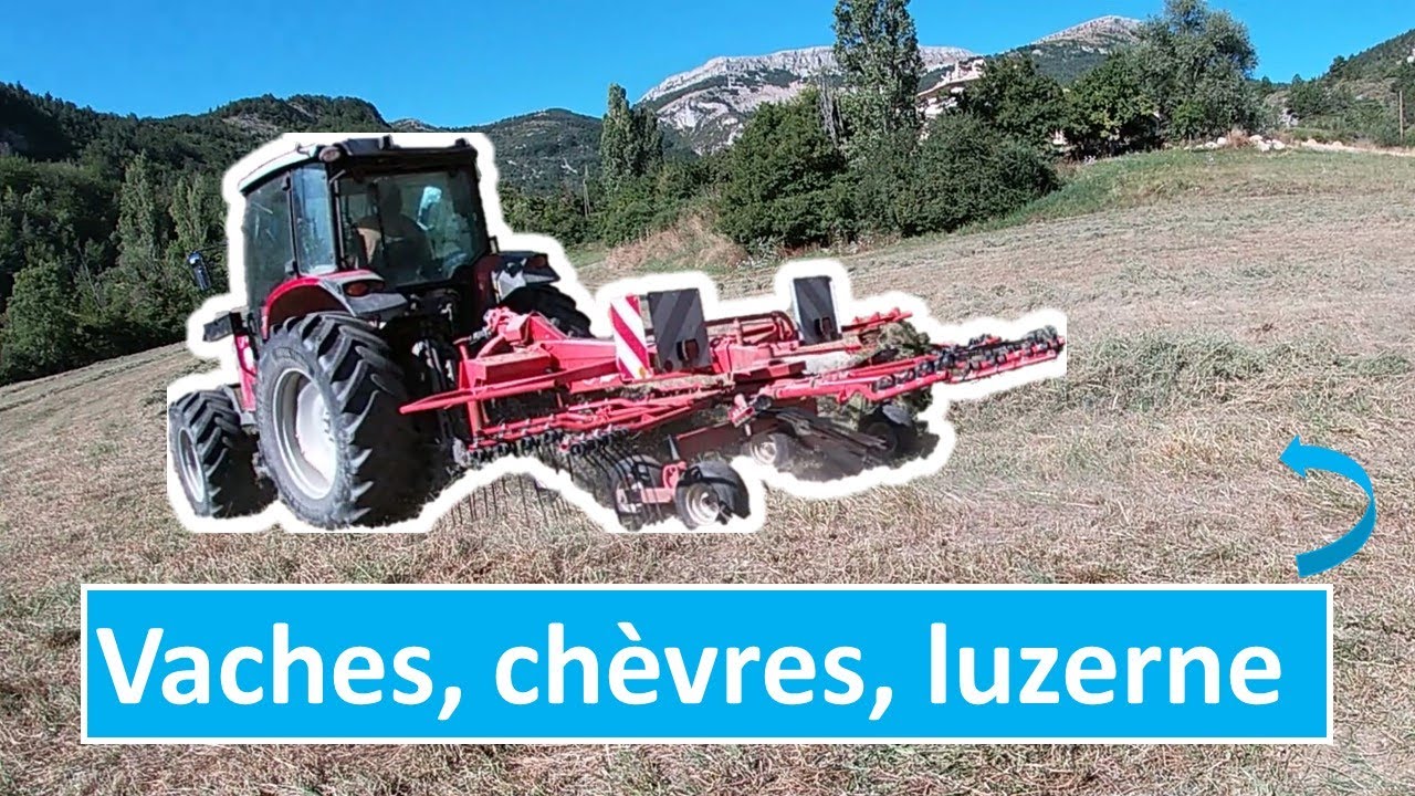 Deuxième et dernière coupe de luzerne : journées chargées
