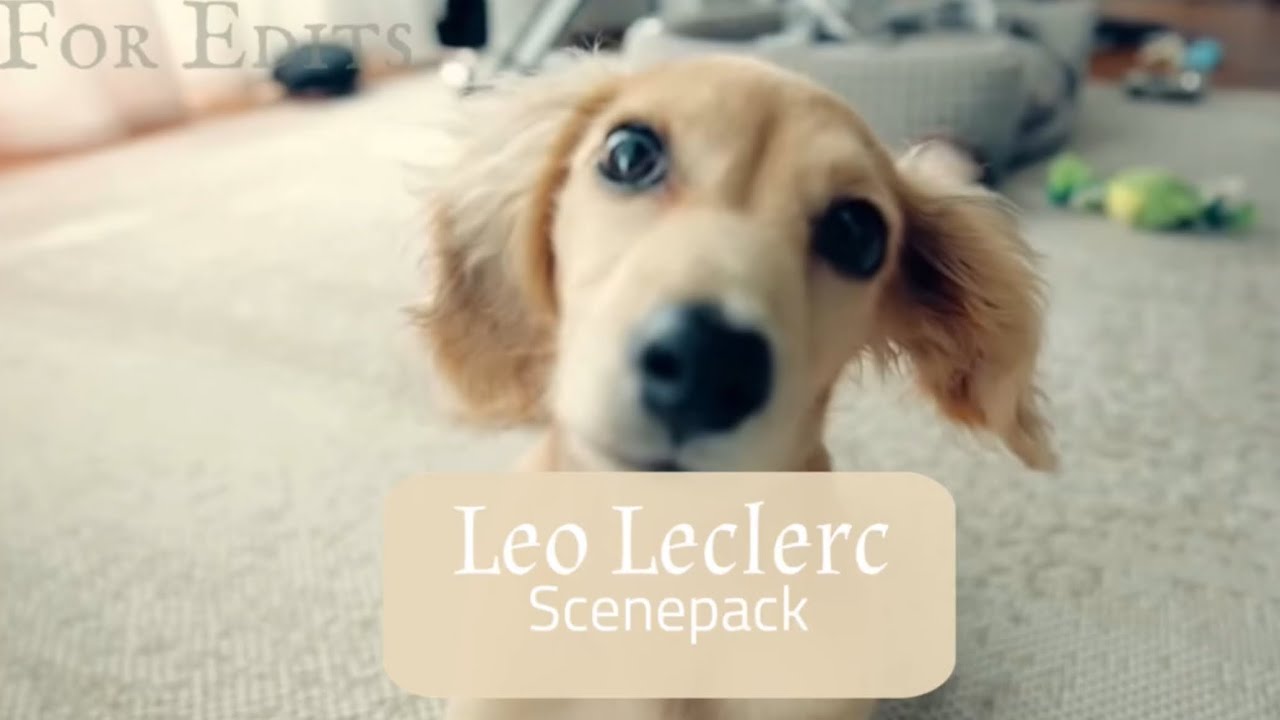 Leo Leclerc Scenepack | For Edits