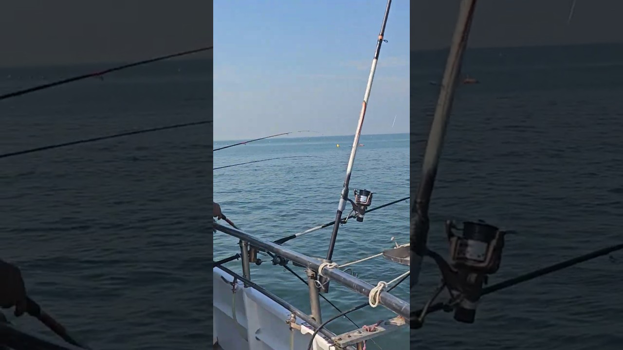 8 июля 2025 г. Mackerel Fishing in the Adriatic Sea with Friends #fishing #fish #bassfishing #ocean