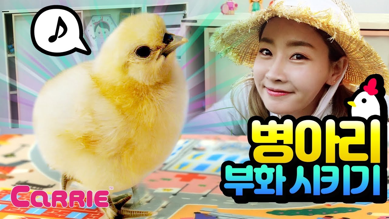 병아리가 부화했어요! | 병아리 키우기 | Baby Chick Hatching