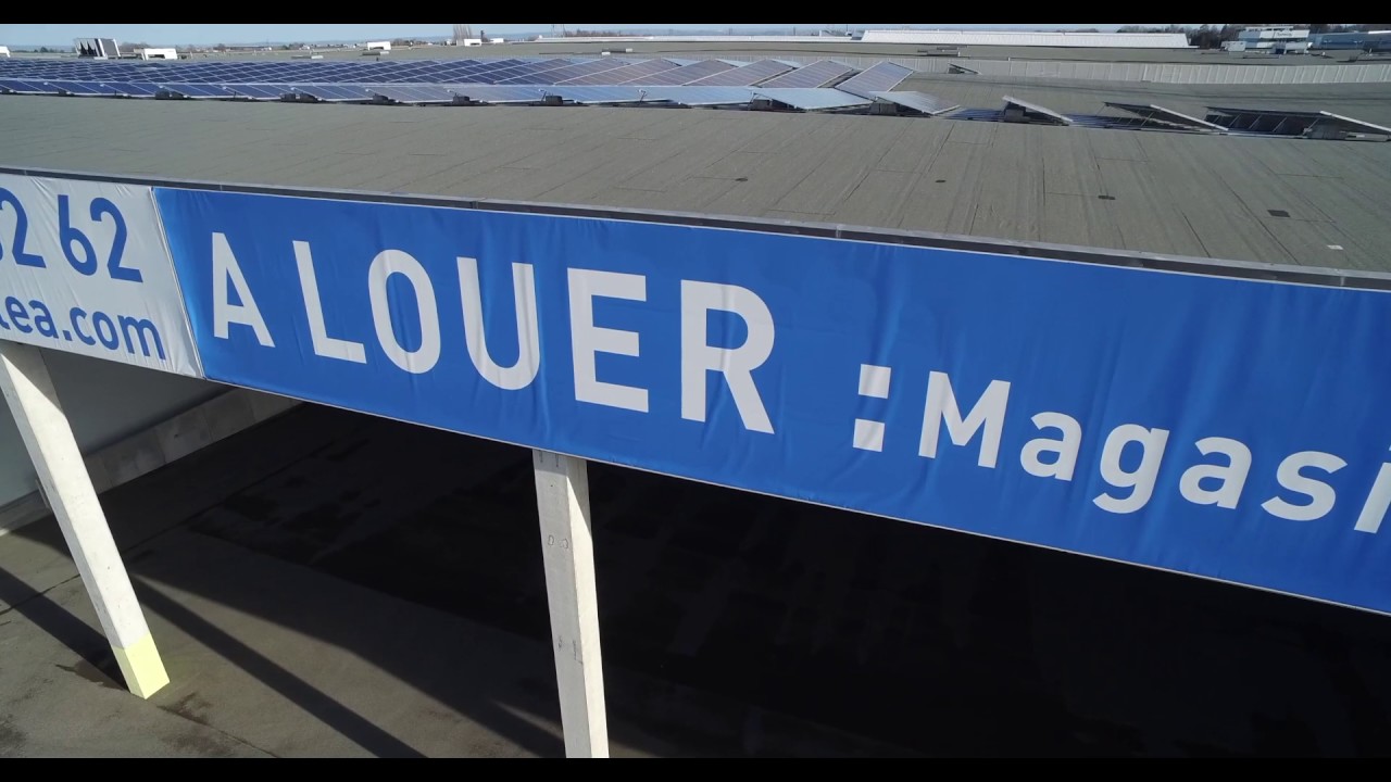 Montea | Logistics warehouses | Milmort units available