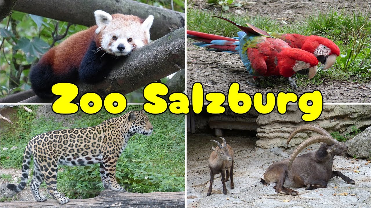 Zoo Salzburg Hellbrun in Austria