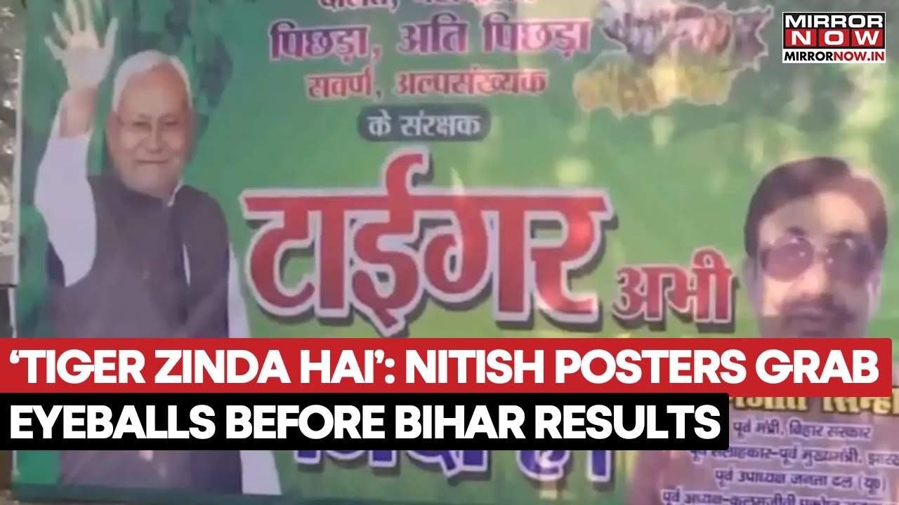Bihar Elections: &lsquo;Tiger Abhi Zinda Hai&rsquo;: Posters Featuring Nitish Kumar Grab Eyeballs Before Results