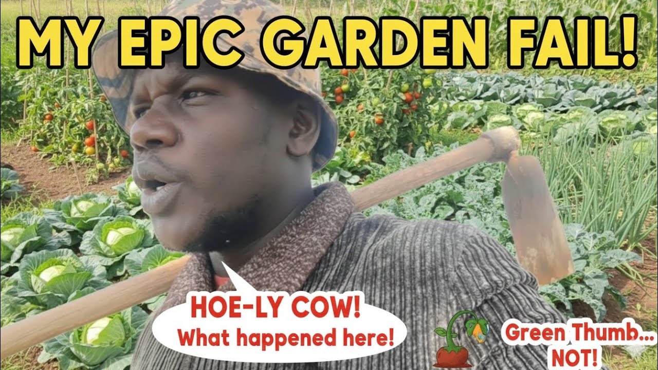 Small space, BIG harvest: Kitchen Garden Secrets