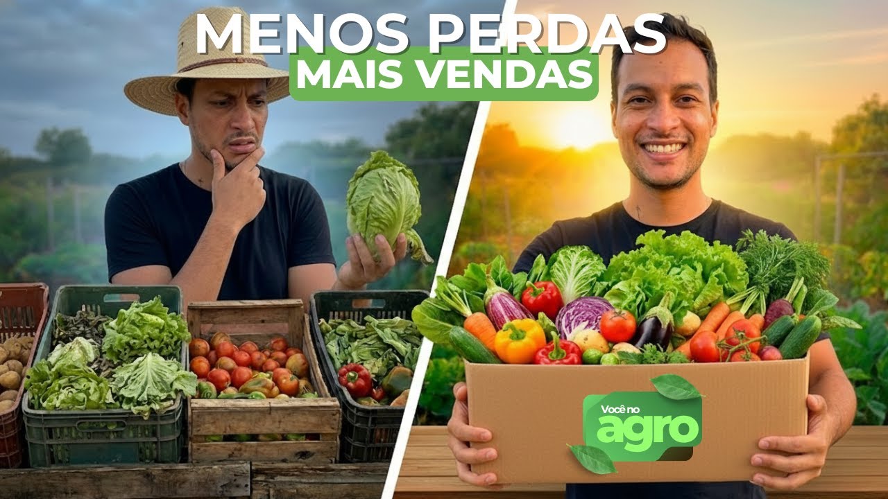 DOBREI AS VENDAS NA ROÇA MONTANDO COMBOS (Sem plantar nada a mais)