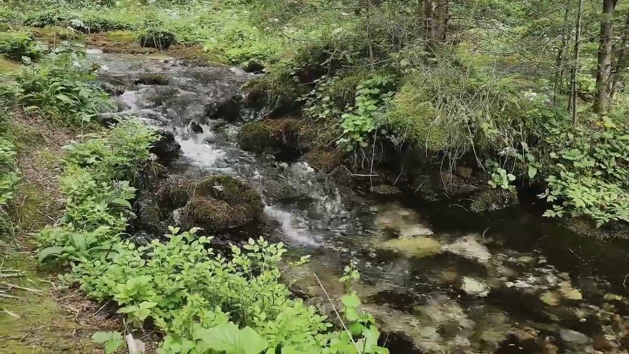 Entspannte Geräusche vom Fluss |  Wassergeräusche zum schlafen, meditieren & ausruhen
