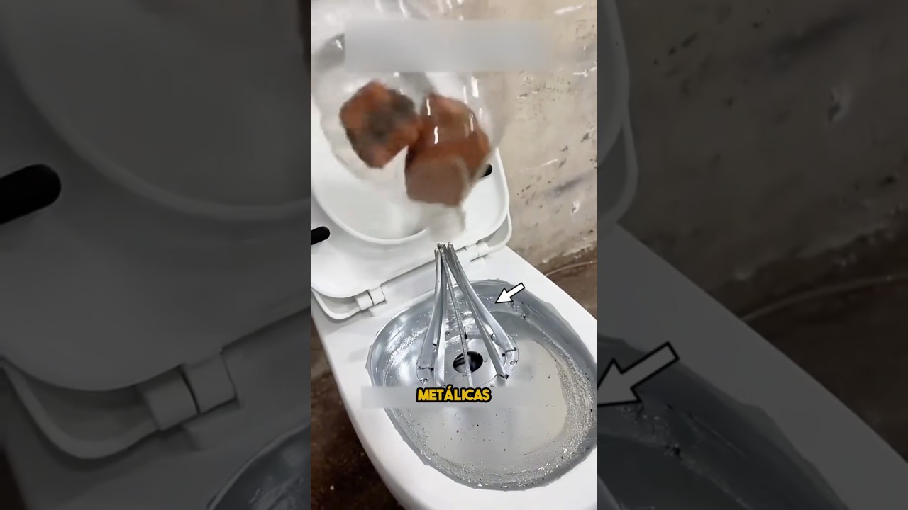 As&iacute; ser&aacute; el futuro de los inodoros 🚀🚽