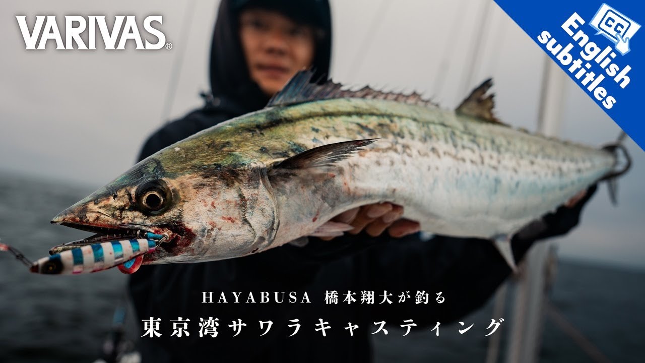 【東京湾サワラ】橋本翔大がブレードジギングで完全攻略！～釣れるルアーとラインの選択術～