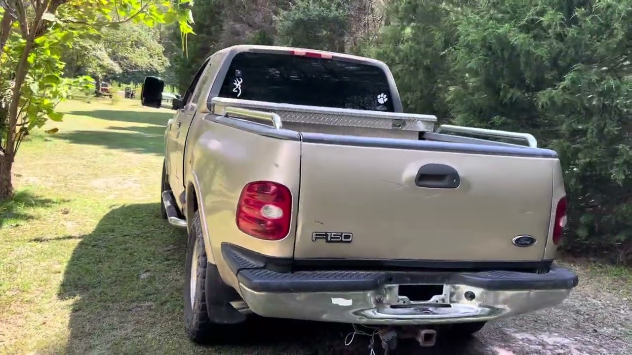 True Dual Flowsound With Nice Tips On The Gold 99 F150 