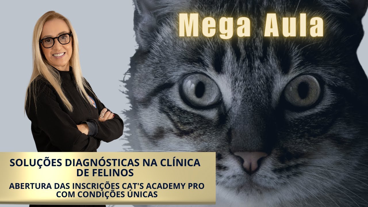 Soluções Diagnósticas na Clínica de Felinos