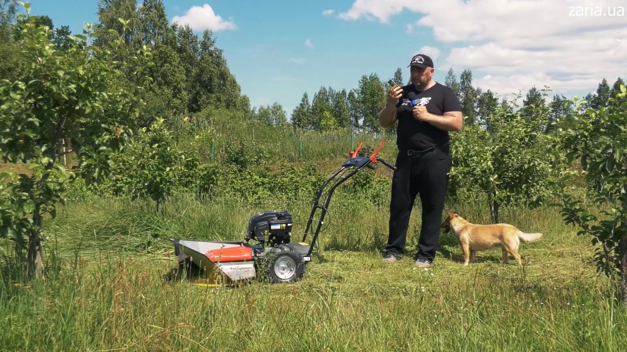 Дискова косарка Vari DS-521B Agatha в роботі.