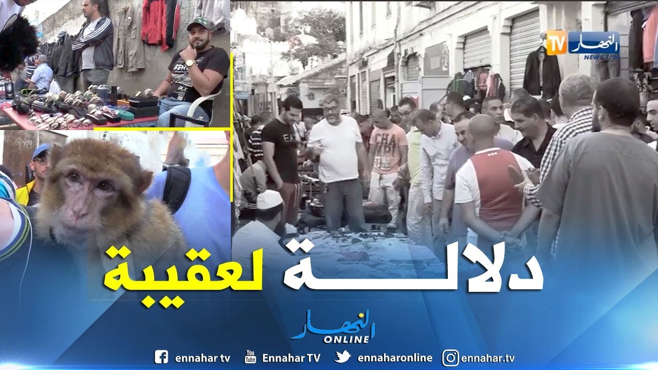 مجتمع: 