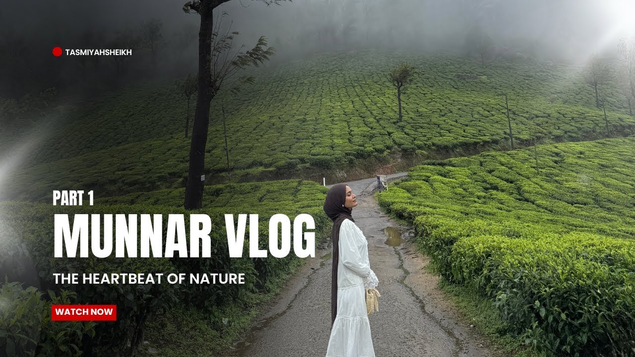 Влог Муннара📍🍃🍜|Часть 1|Ташиджаби|#munnar #travelvlog #fyp