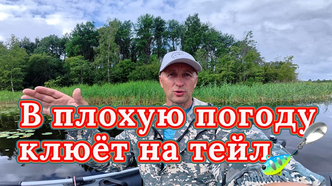 Плохая погода, неправильное давление.  Ставим одну приманку и ловим щуку и окуня!