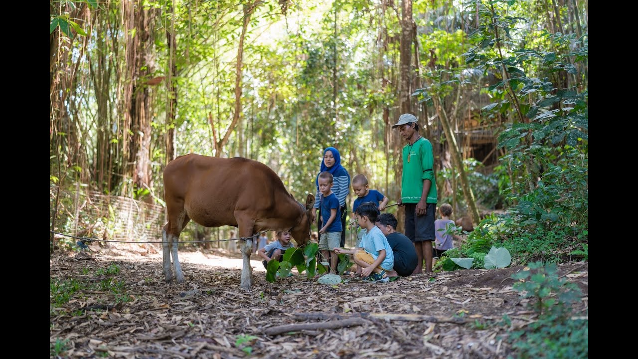 Early Years Learning Programme | Green School Bali