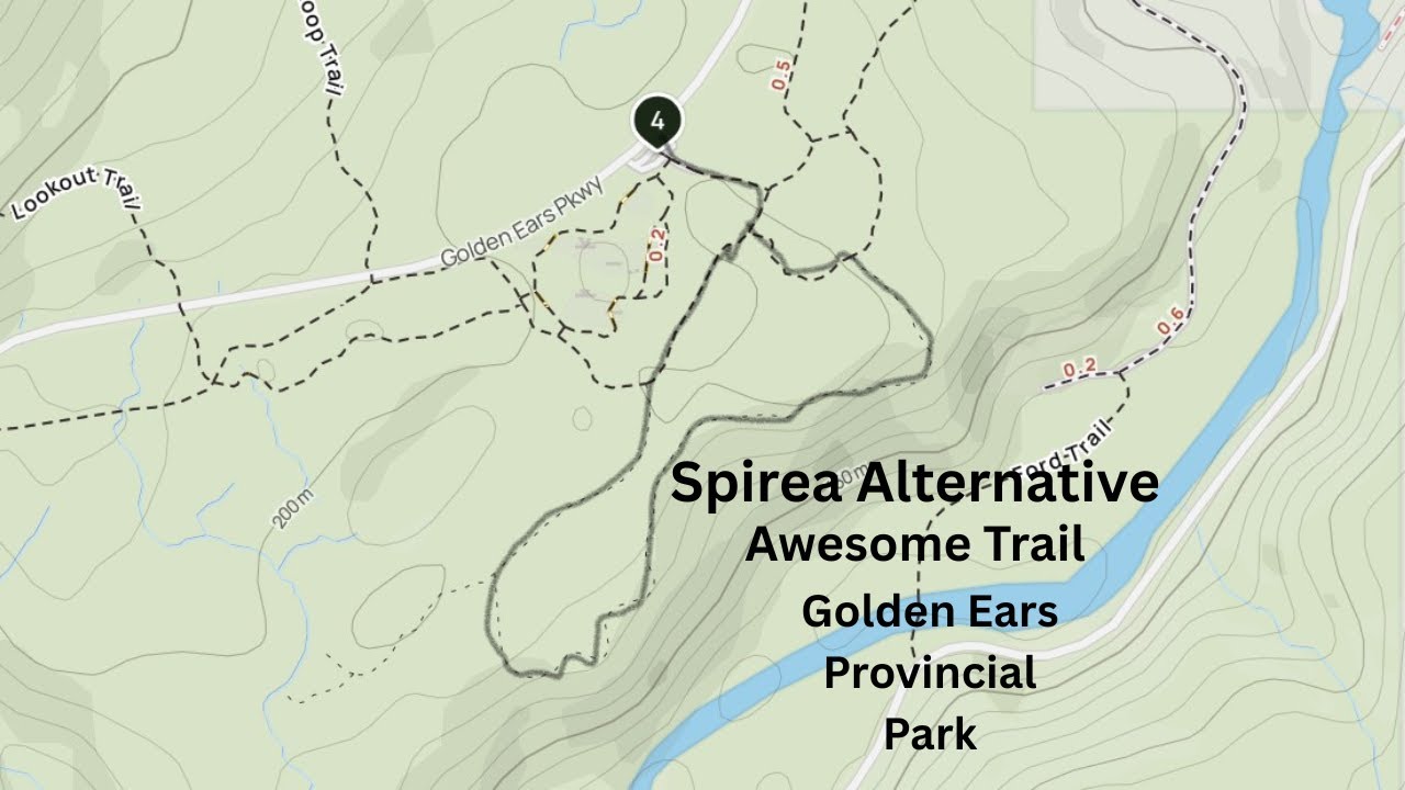 Hidden Trail Near Spirea Trail | Golden Ears Provincial Park History Walk