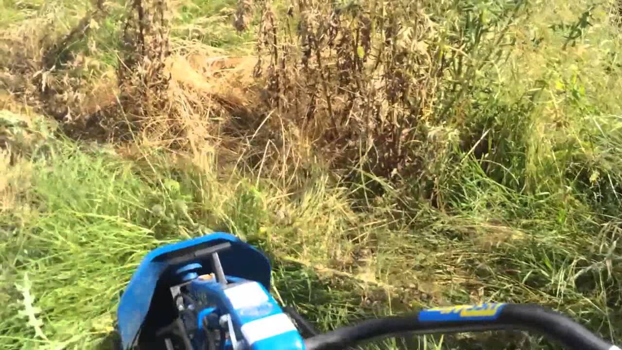 Clearing a paddock of wild thistles with a power scythe mower