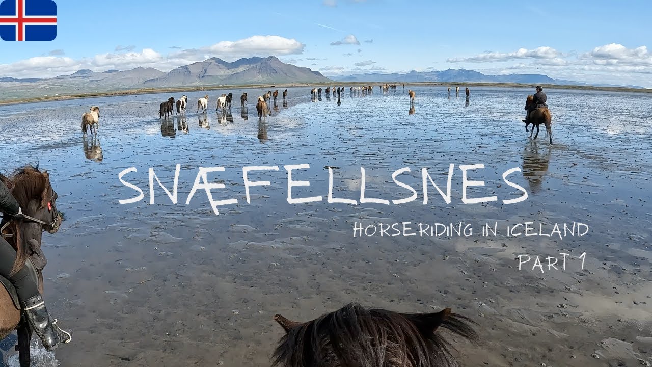Snæfellsnes Part 1 | Adventure through Iceland's coastal paradise on horseback with Íslandshestar 4K