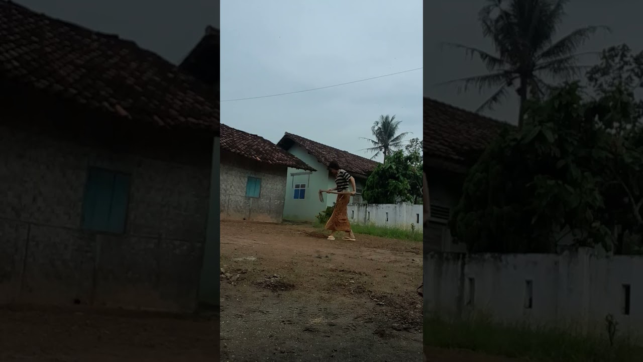 Reboisasi Halaman Rumahhh