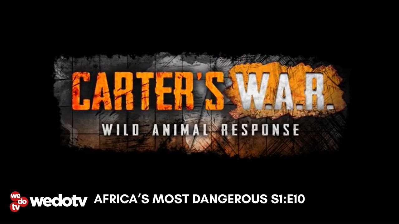 Africa's Most Dangerous | Carter's W.A.R. S1/E10 | wedotv