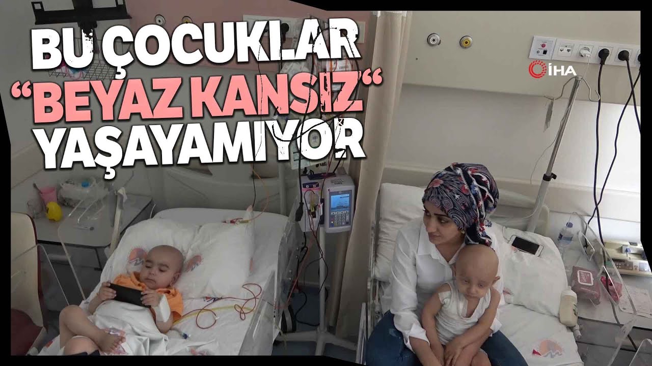 Lösemili Hastalar, Hayatta Kalabilmek İçin Beyaz Kan Bağışçılarını Bekliyor