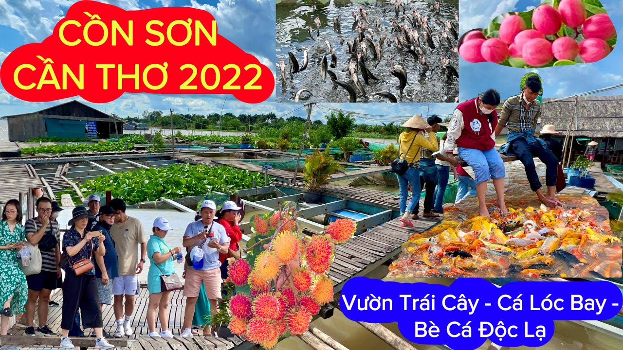 CỒN SƠN CẦN THƠ 2022 Du Lịch Đi Bộ Sinh Thái Vườn Ao Bè Cực Kỳ Độc Đáo Ấn Tượng | Khương Nhựt Minh