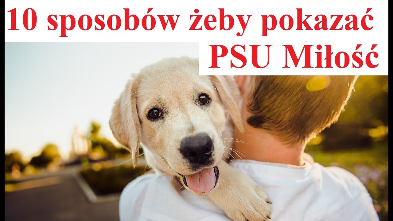 10 sposob&oacute;w żeby pokazać PSU Miłość