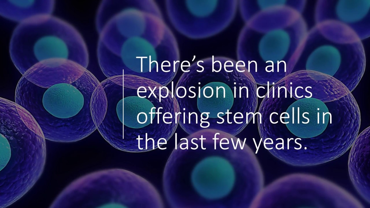Stem Cell Seminars: 7 Key Questions to Ask
