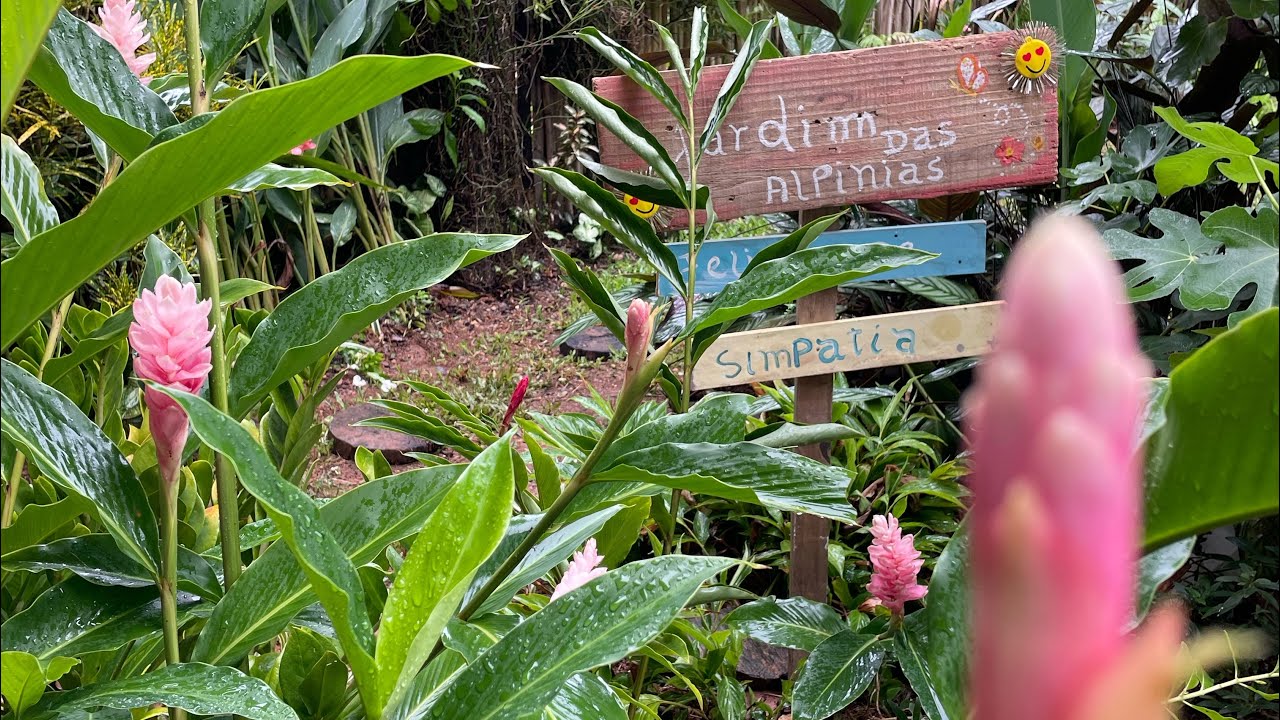 Novo canteiro no jardim