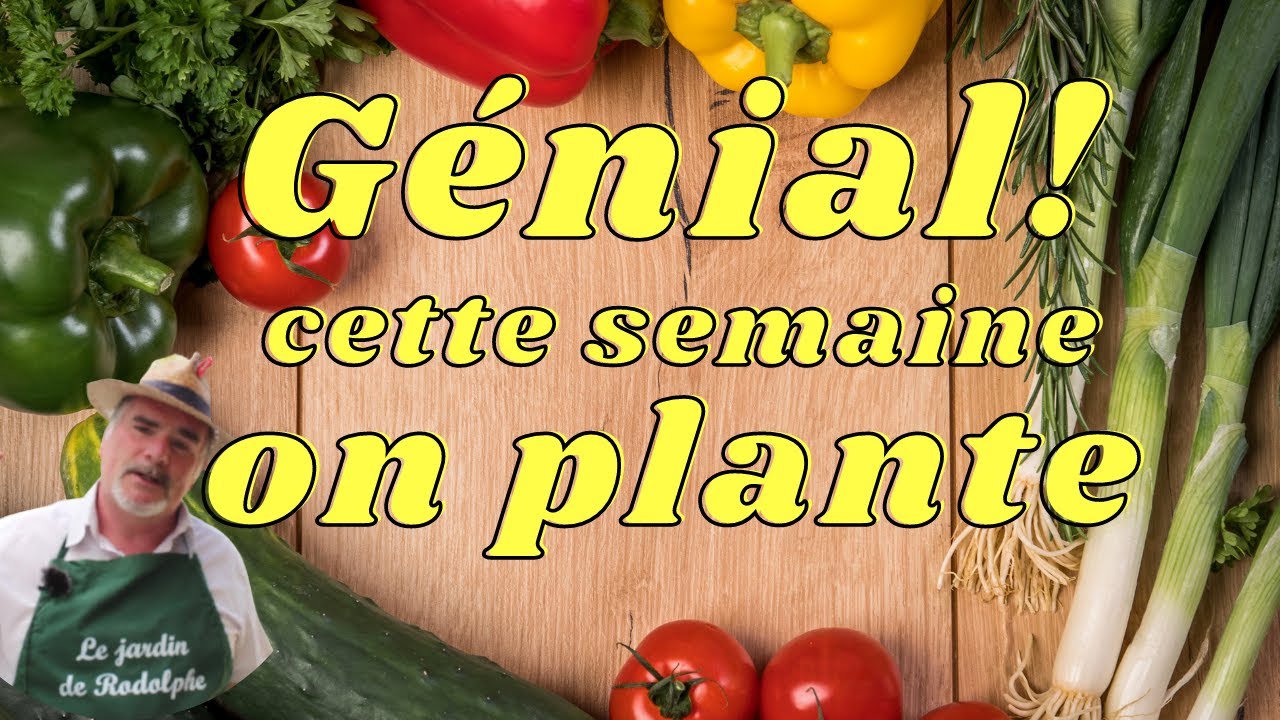Allez c'est parti, on plante en extérieur