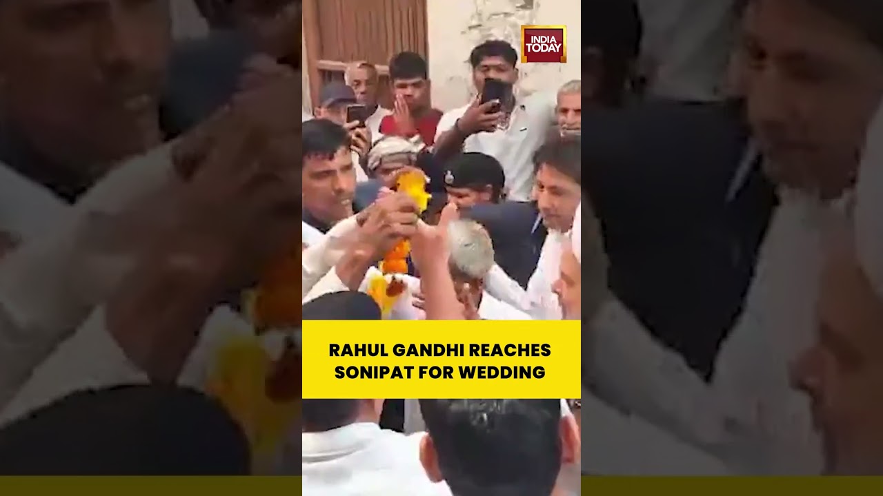 Rahul Gandhi Reaches Sonipat for Wedding | Congress Leader Attends Private Ceremony