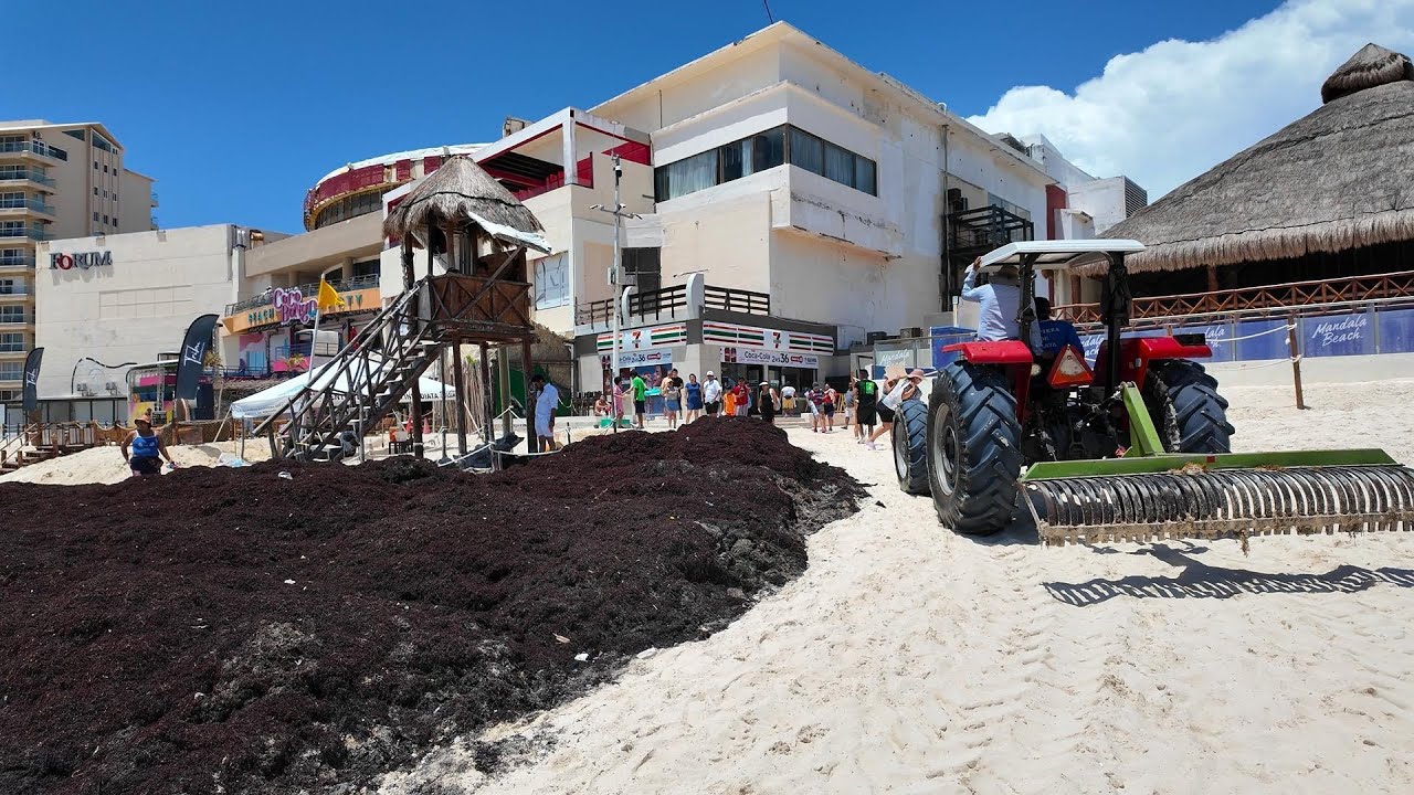 🔴POR ESTA RAZON PRIVATIZAN LAS PLAYAS PUBLICAS DE CANCÚN❌🌴PLAYA FORUM, GAVIOTA AZUL
