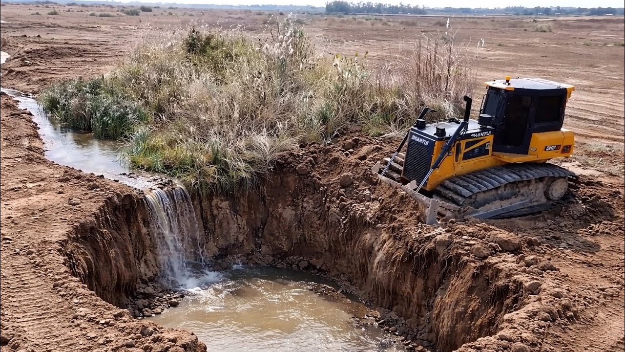Shantui Dozer Pushing Soil Filling Bury Water And Small Plants