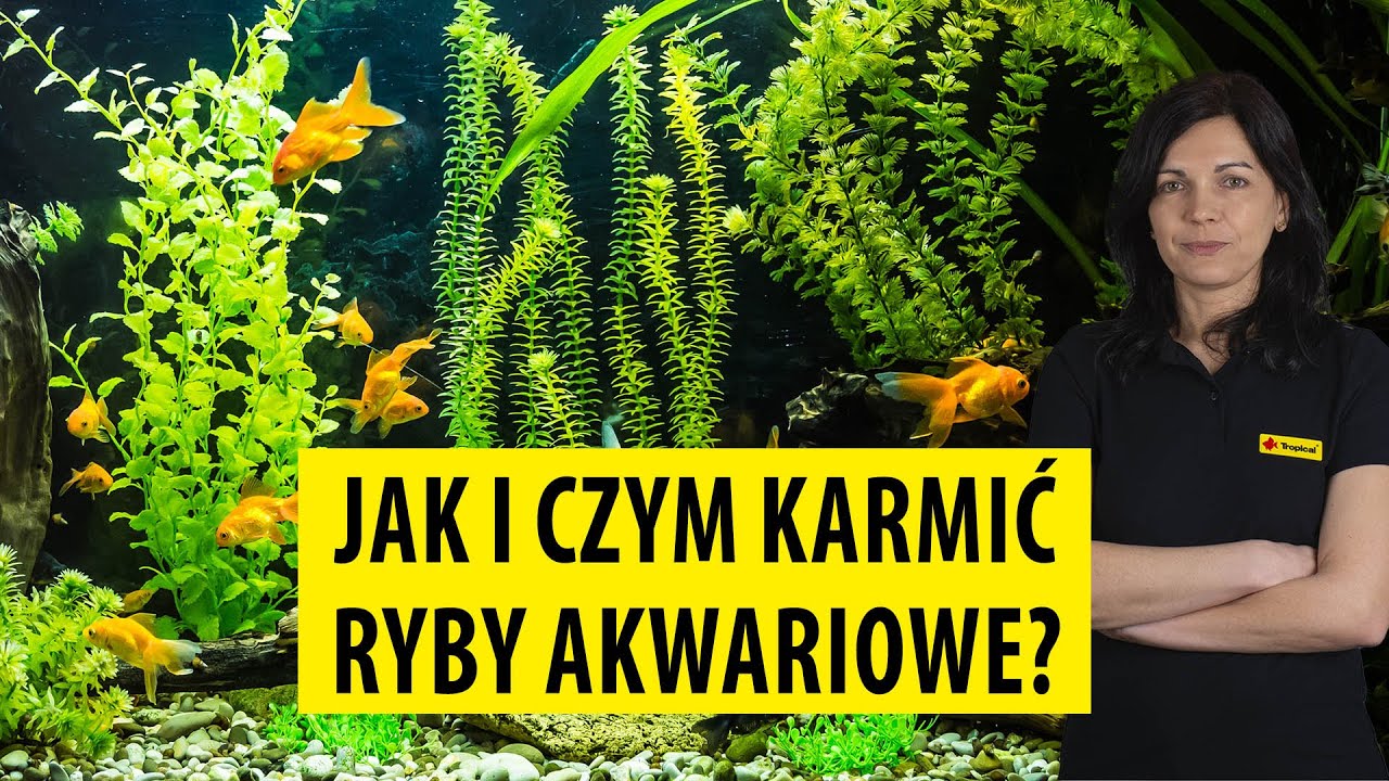 TROPICAL | Jak i czym karmić ryby akwariowe?/How and what to feed aquarium fish? (ENG SUB)