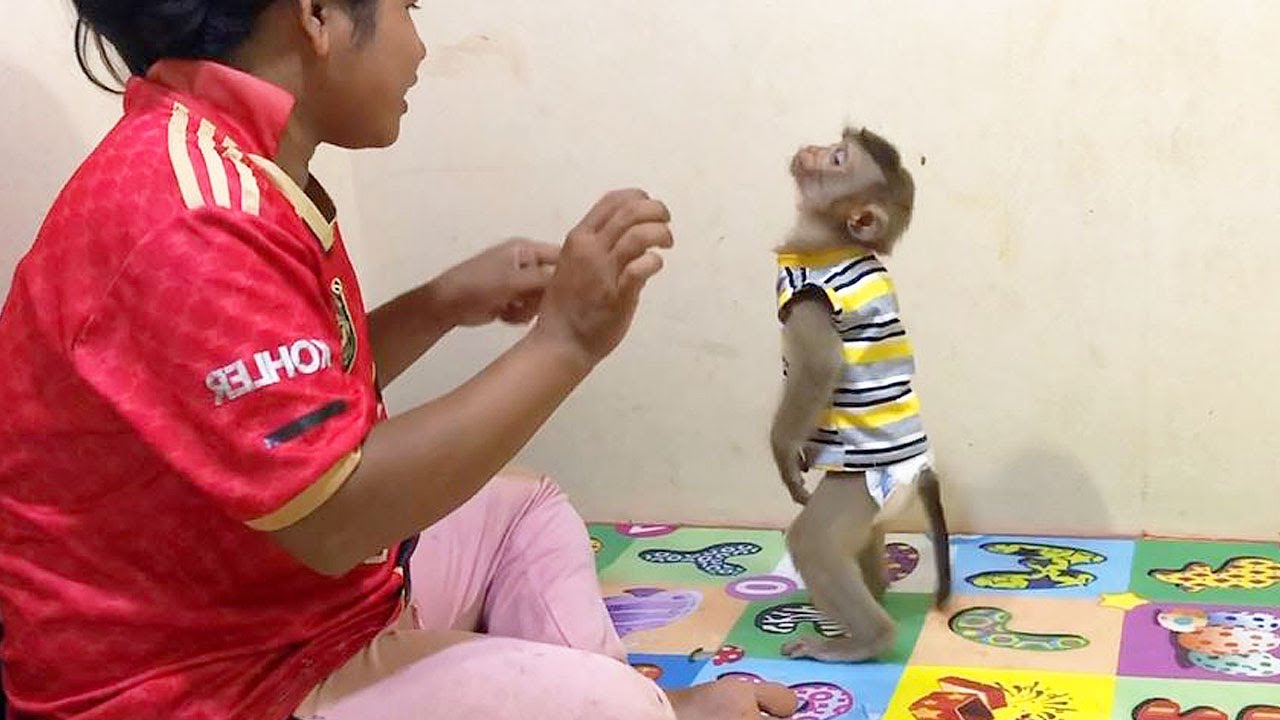 Genius Jason Lovely Twerking Duet Dance With Mom Cheerful