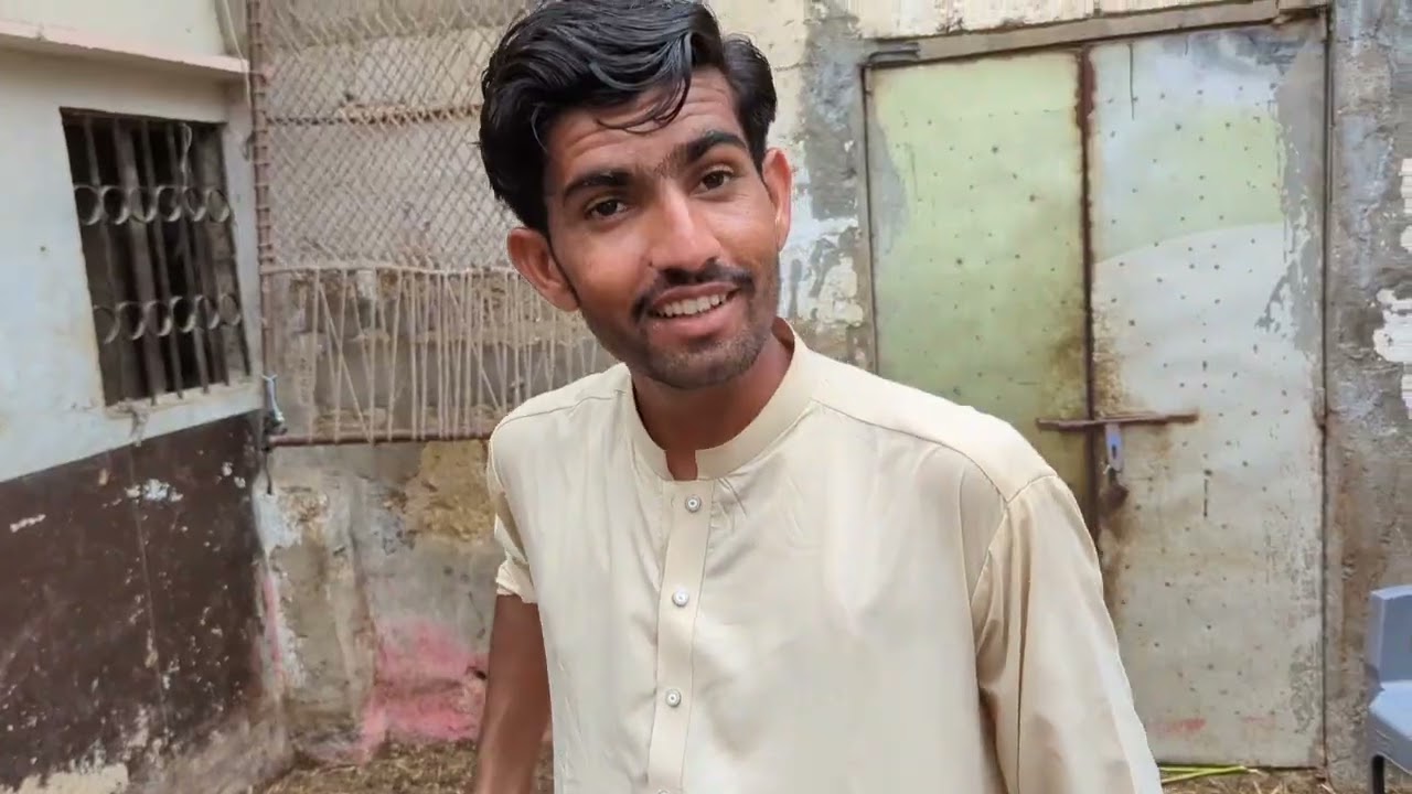 Goat's Collection Of 2024_25 and prices of goats at Sohrab Goth Bakra Mandi market | B 4 birds