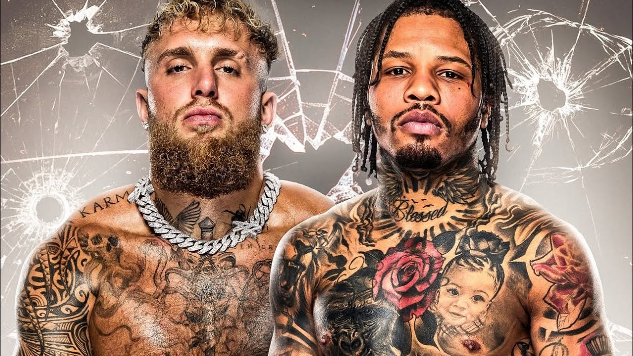 JAKE PAUL GERVONTA TANK DAVIS, REPLACEMENT #everydaylivintv #gervontadavis #jakepaul #francisngannou