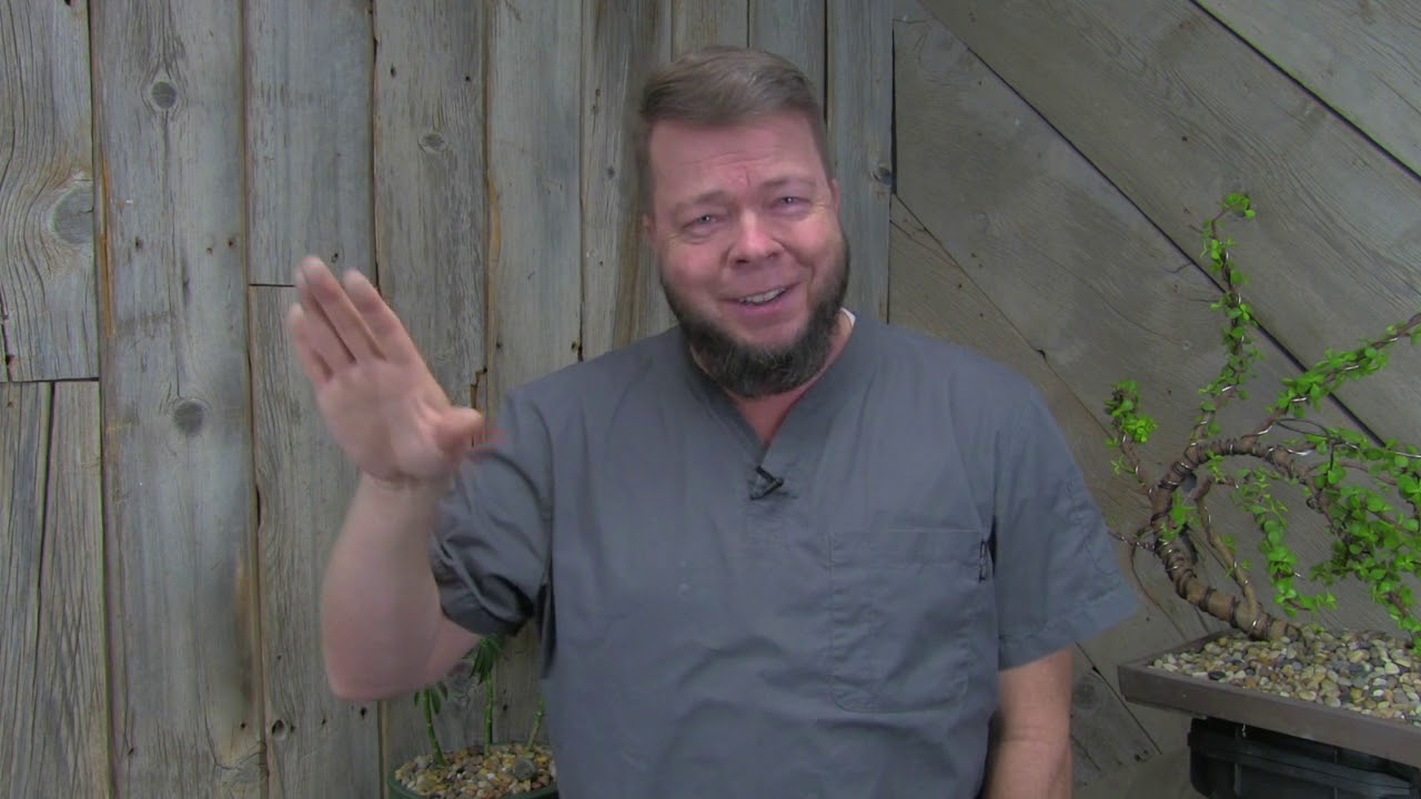 Почему Школа доморощенных травников?