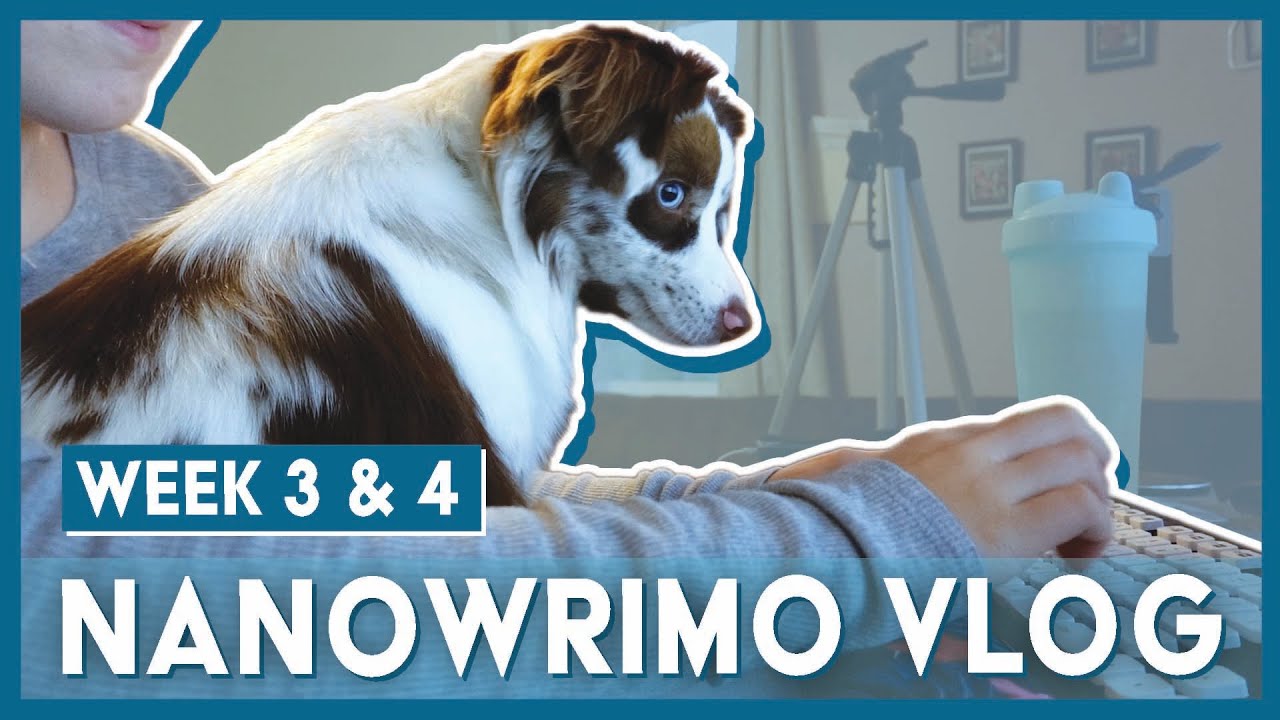 NaNoWriMo Writing Vlog Week 3 & 4 – losing but still writing!