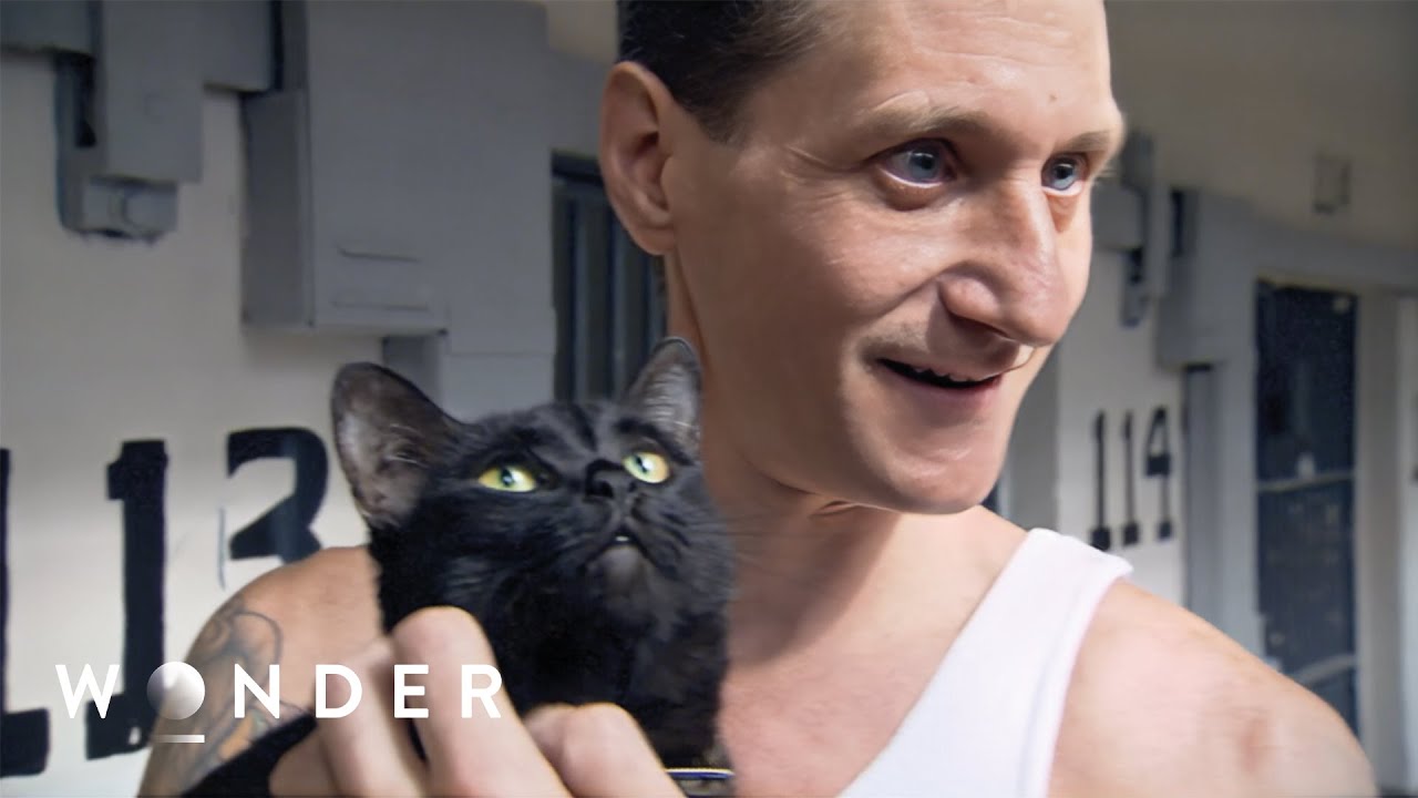The Maximum Security Prison That Lets Inmates Have a Cat