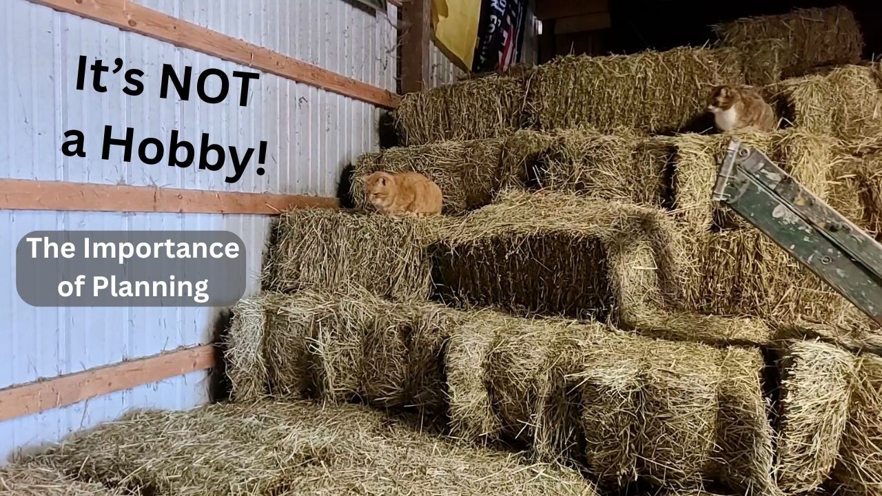 Small Farm, Real Business: Forecasting & Budgeting Using Hay as the Example